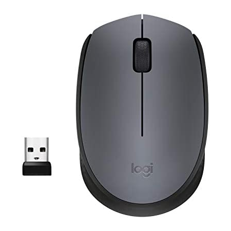 Logitech Wireless Mouse M170