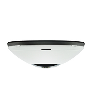 D-link DCS-6010L Wireless N 360° Fisheye Cloud Network IP Camera